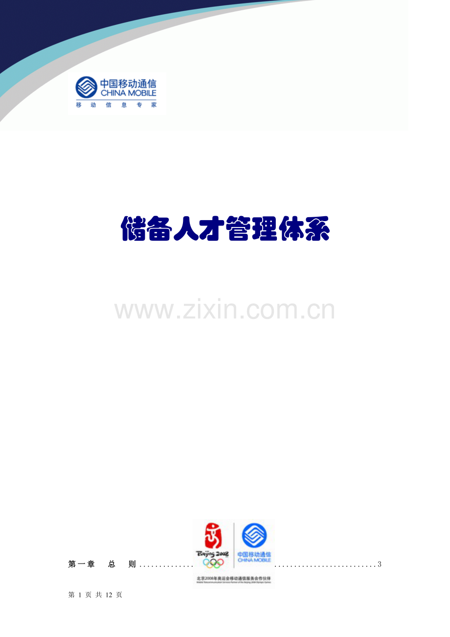 储备人才管理体系(中国移动公司).doc_第1页