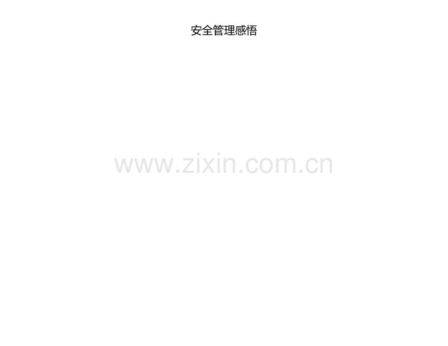 安全管理感悟.docx_第1页