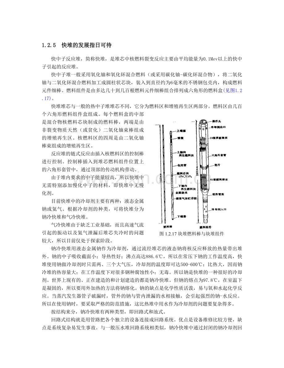 D快堆核电站.doc_第1页