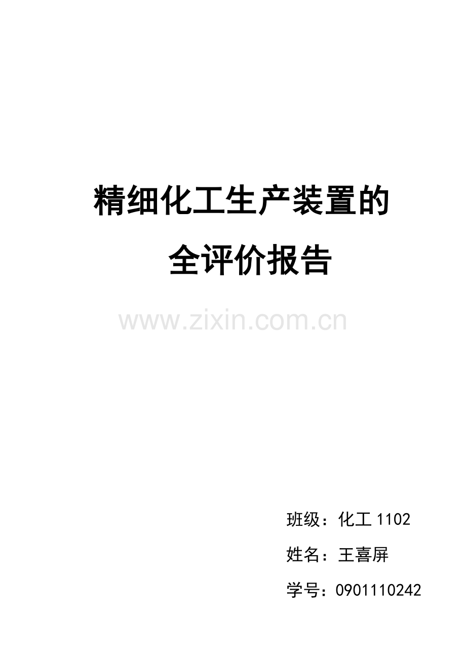 精细化工生产装置的安全评价报告.docx_第1页