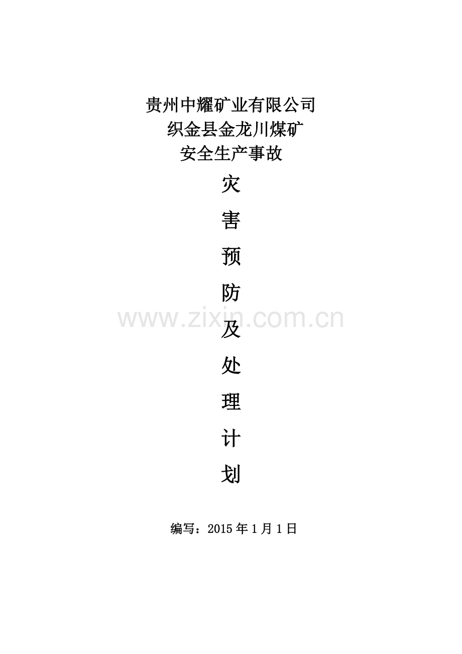 金龙川煤矿205年煤矿安全生产事故防灾计划.docx_第1页
