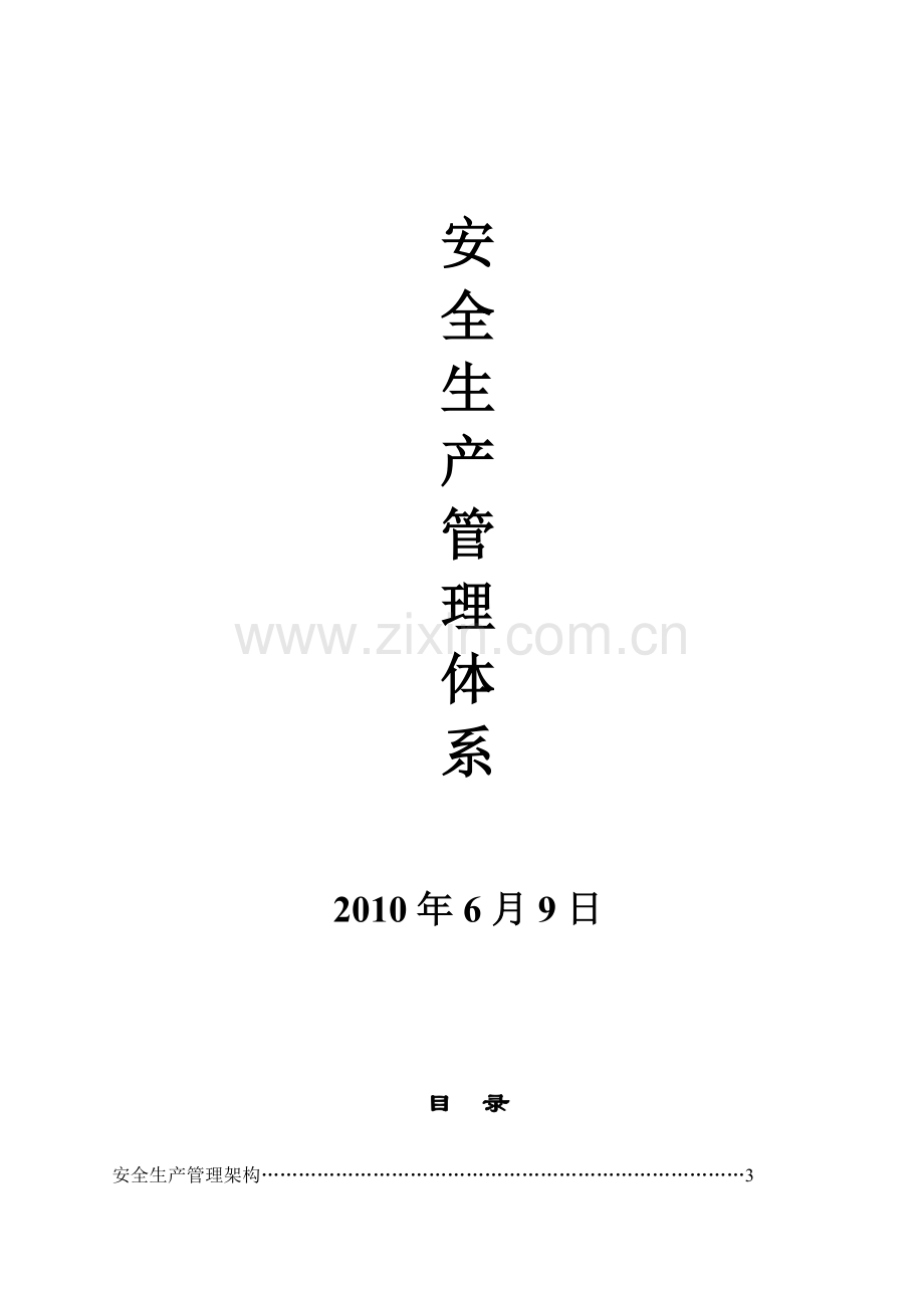 安全生产体系.docx_第1页