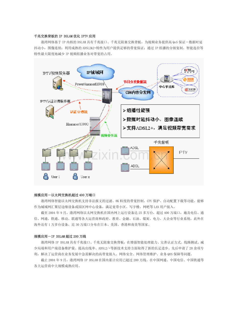 安全的宽带IP接入网解决方案.docx_第2页