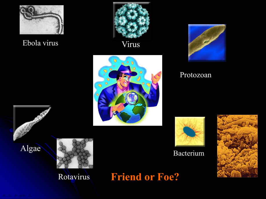 传染病病原治疗学习.pptx_第2页