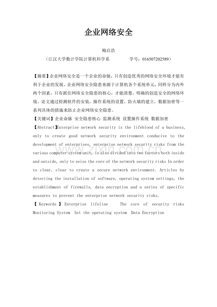 公司网络安全.docx_第2页