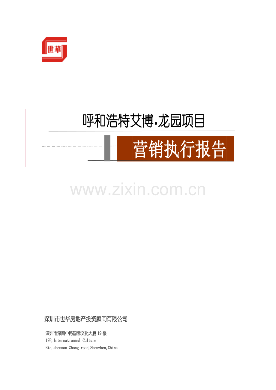 某项目营销执行报告.docx_第1页