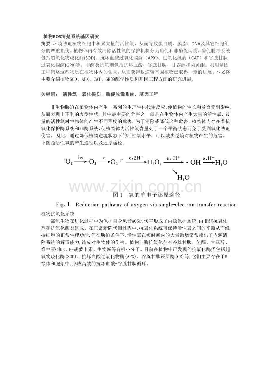 摘要 环境胁迫植物细胞中积累大量的活性氧.docx_第1页