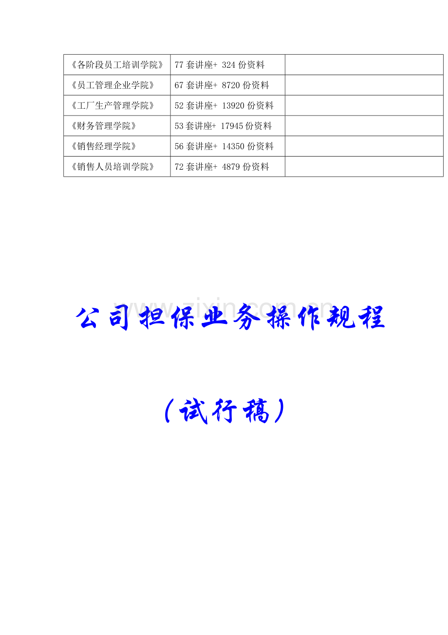试谈公司担保业务操作规程.docx_第2页