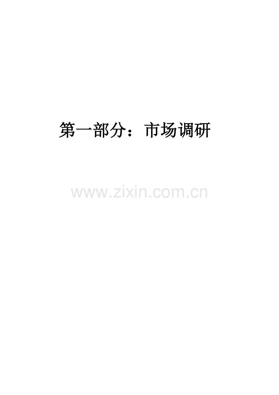 市场综合调研前期策划报告.docx_第2页