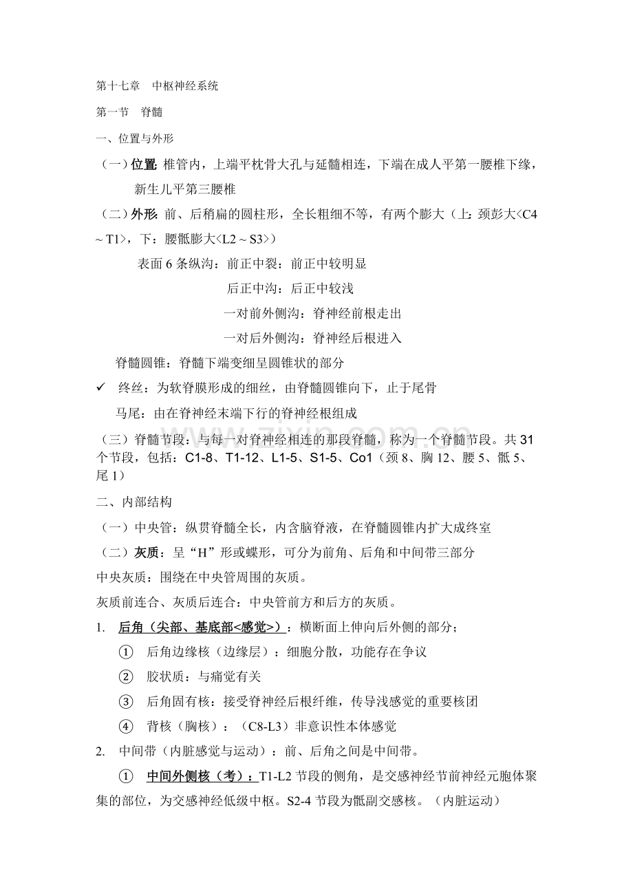 中枢神经系统 脊髓.docx_第1页