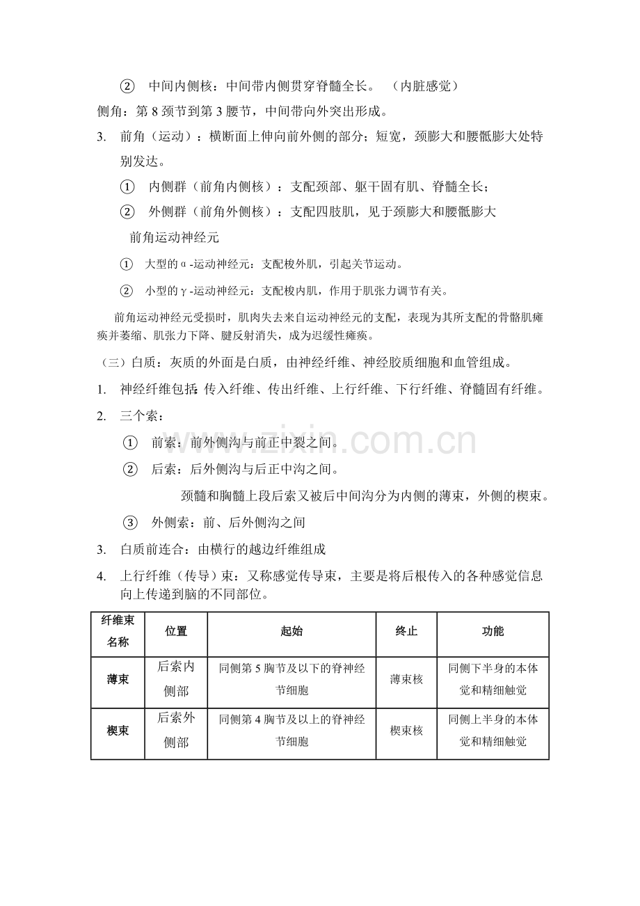 中枢神经系统 脊髓.docx_第2页