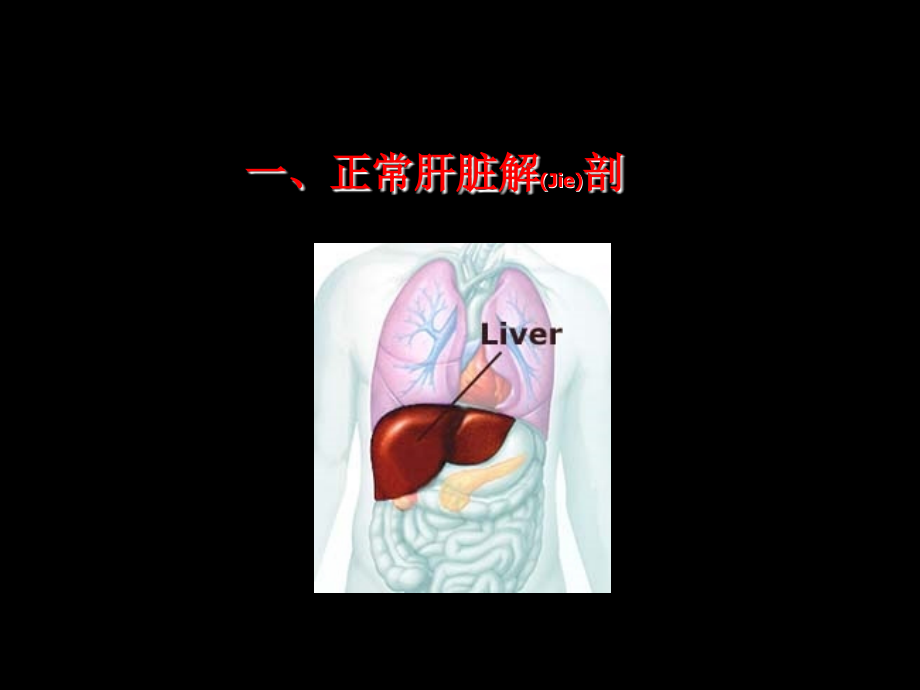 肝脏超声诊断及治疗学习.pptx_第2页