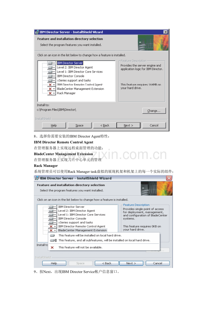 IBM RDM分发在刀片服务器上的实现.docx_第2页