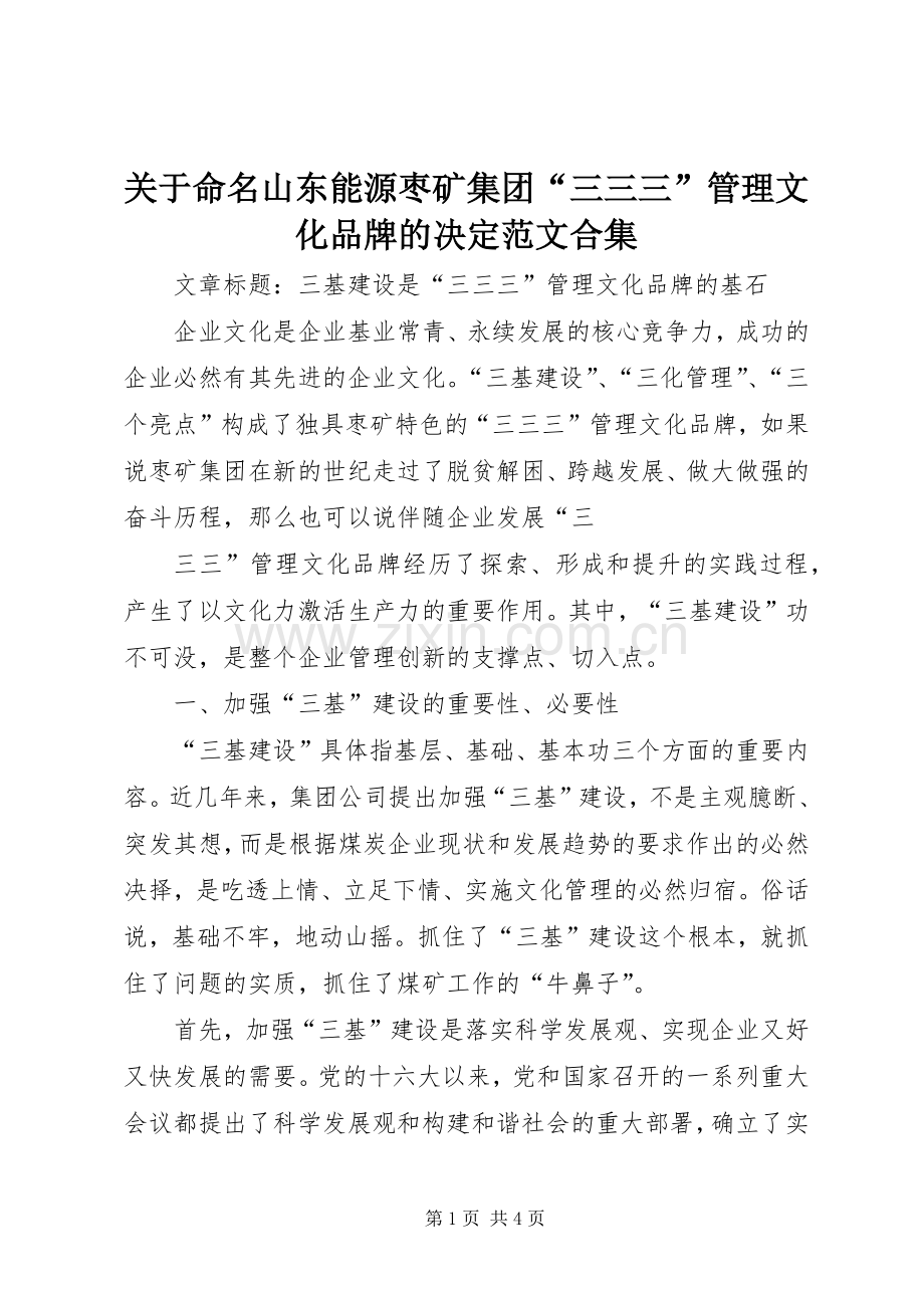 关于命名山东能源枣矿集团“三三三”管理文化品牌的决定范文合集 (2).docx_第1页