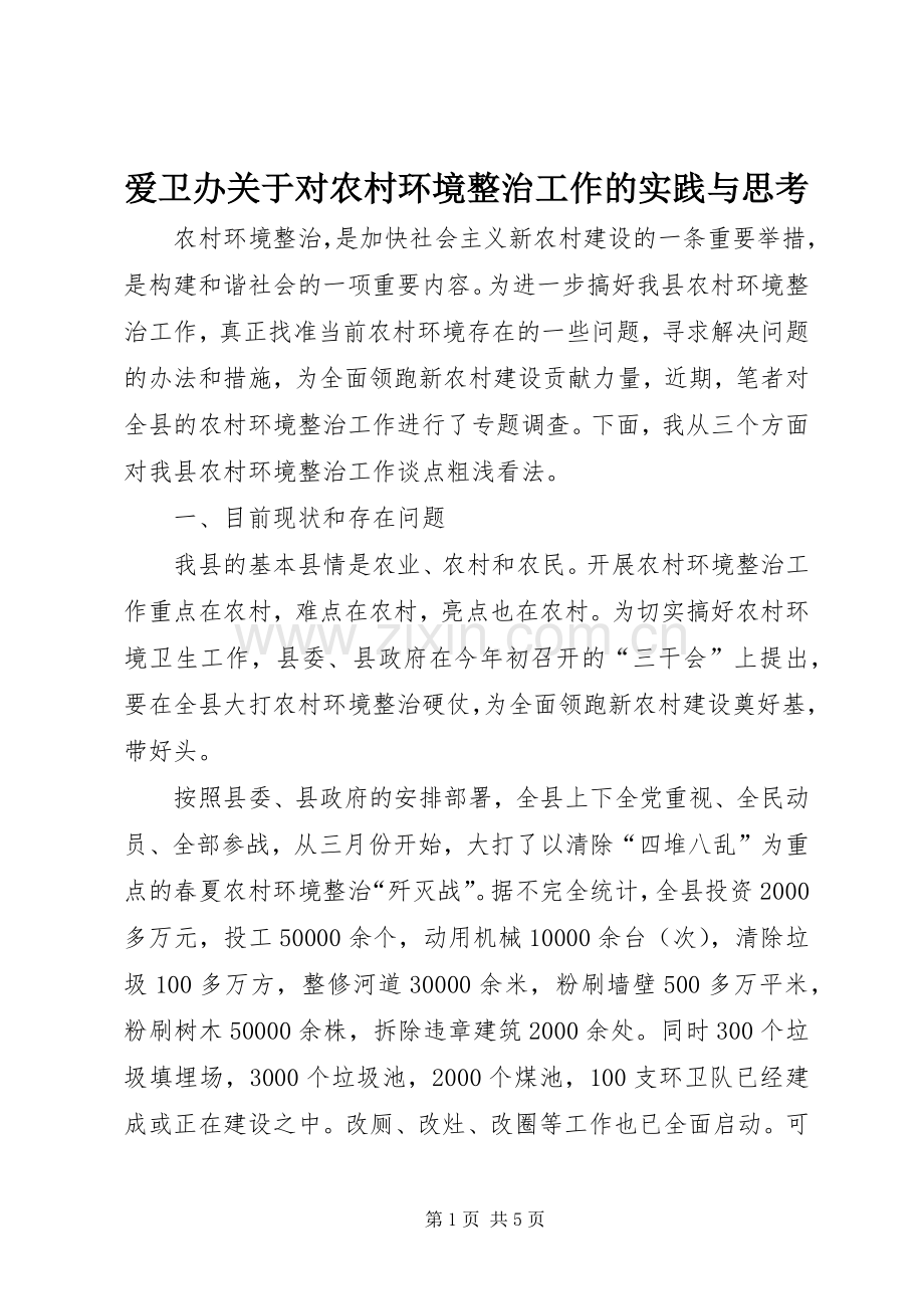爱卫办关于对农村环境整治工作的实践与思考 (2).docx_第1页