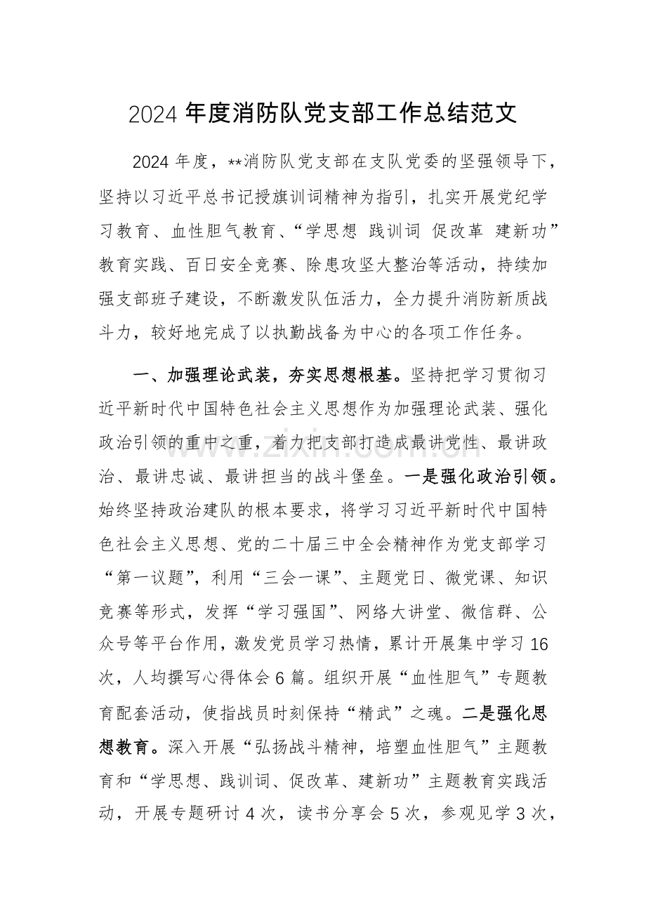 2024年度消防队党支部工作总结范文.docx_第1页