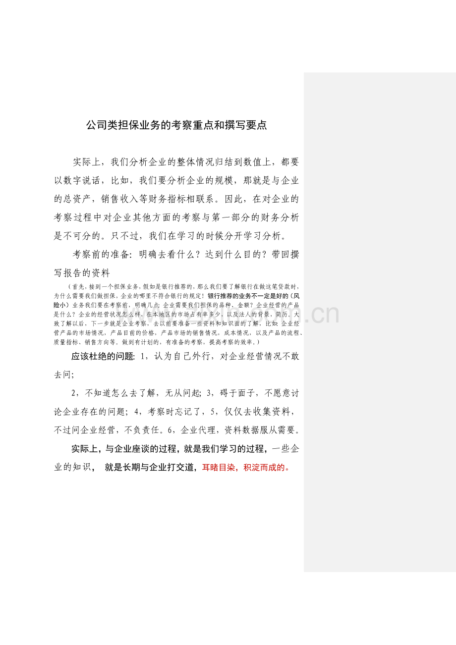 公司类担保业务的考察重点和撰写要点.docx_第1页