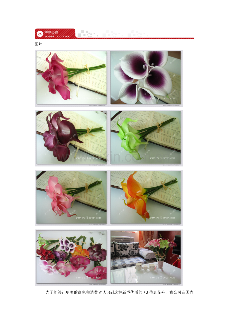 马蹄莲 河南仿真花厂家批发供应.docx_第2页