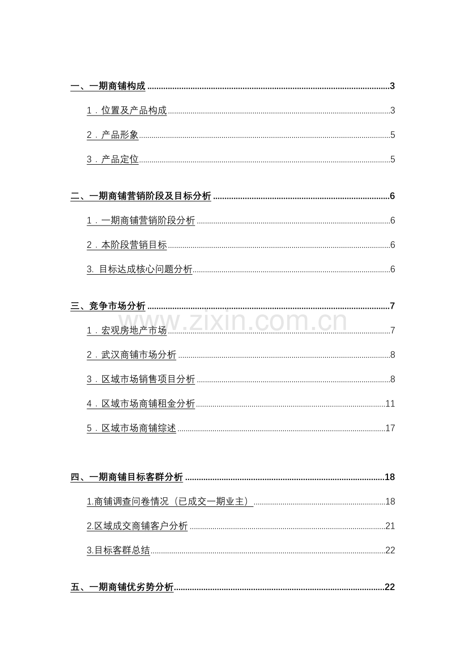 商铺营销策略及执行方案.docx_第2页