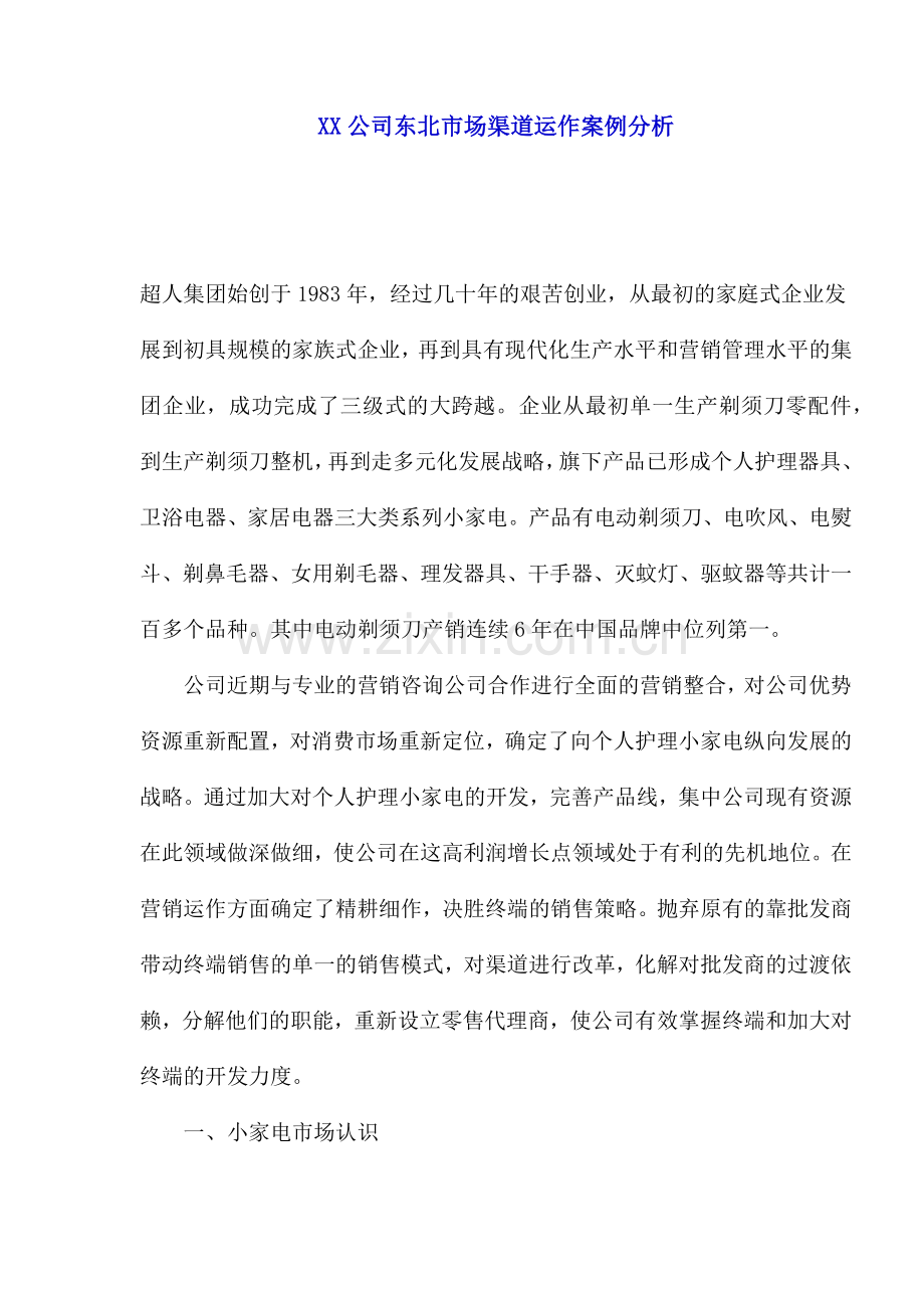 市场渠道运作案例分析.docx_第1页