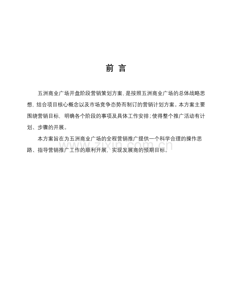 五洲商业广场开盘阶段营销策划方案.docx_第2页