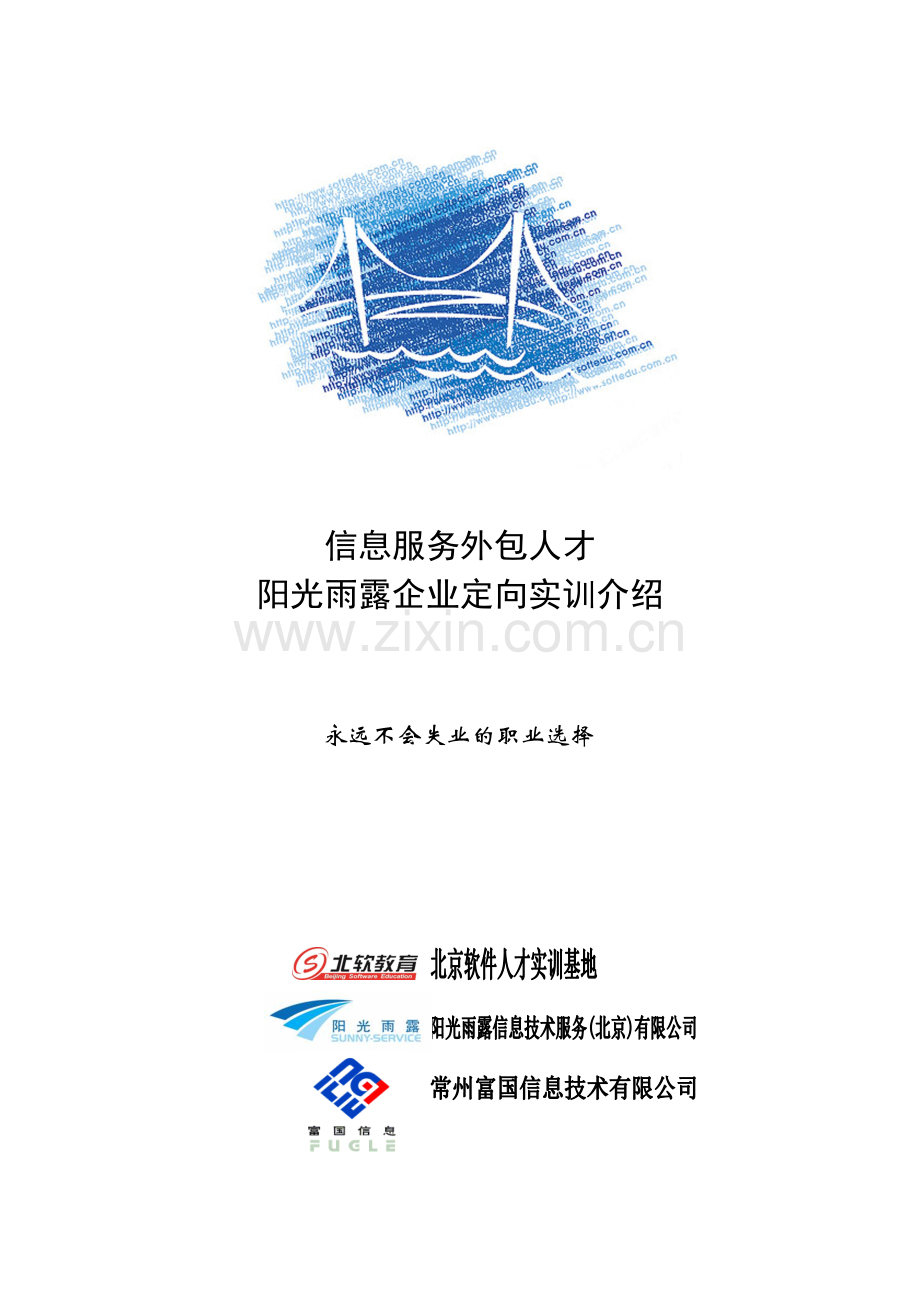 信息服务外包人才.docx_第1页