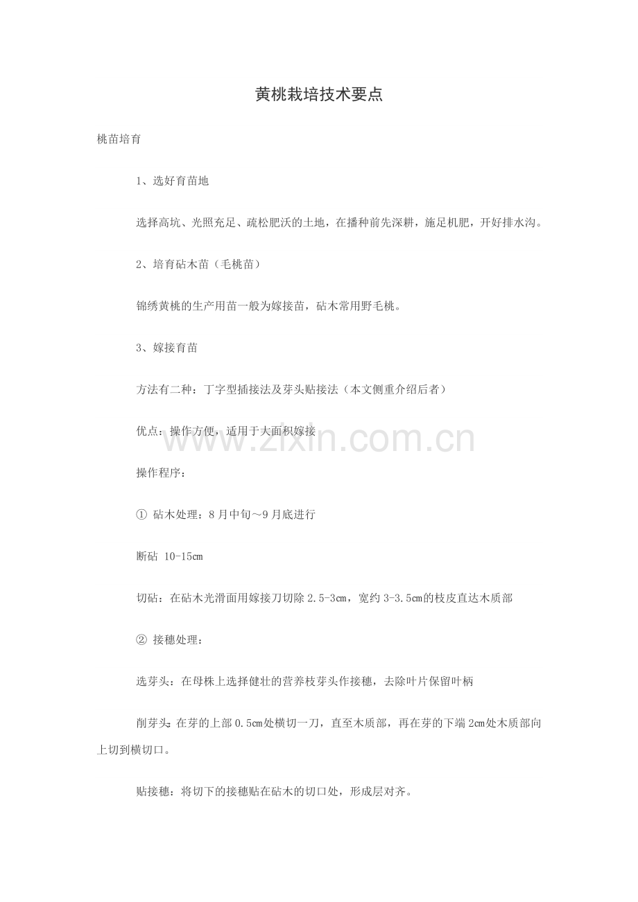 黄桃栽培技术要点.docx_第1页