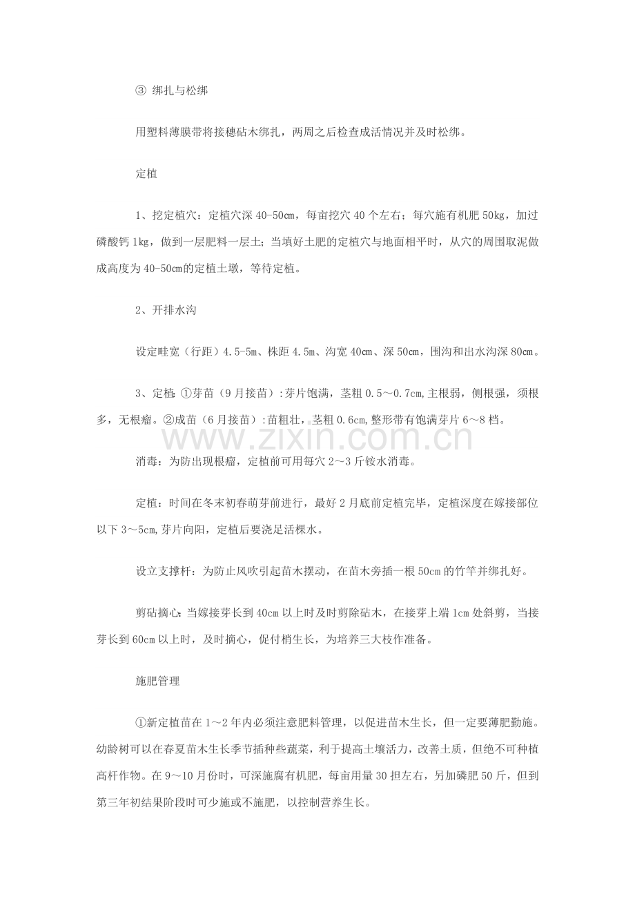 黄桃栽培技术要点.docx_第2页
