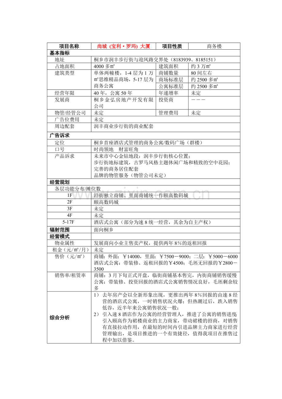 中原-浙江桐乡润丰新世界广场营销策划执行报告.docx_第2页