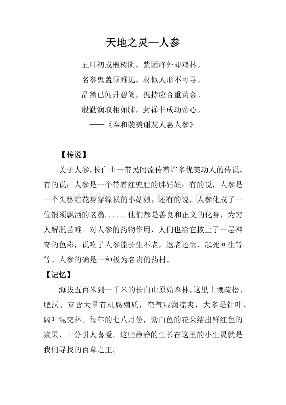 天地之灵-人参.docx_第1页