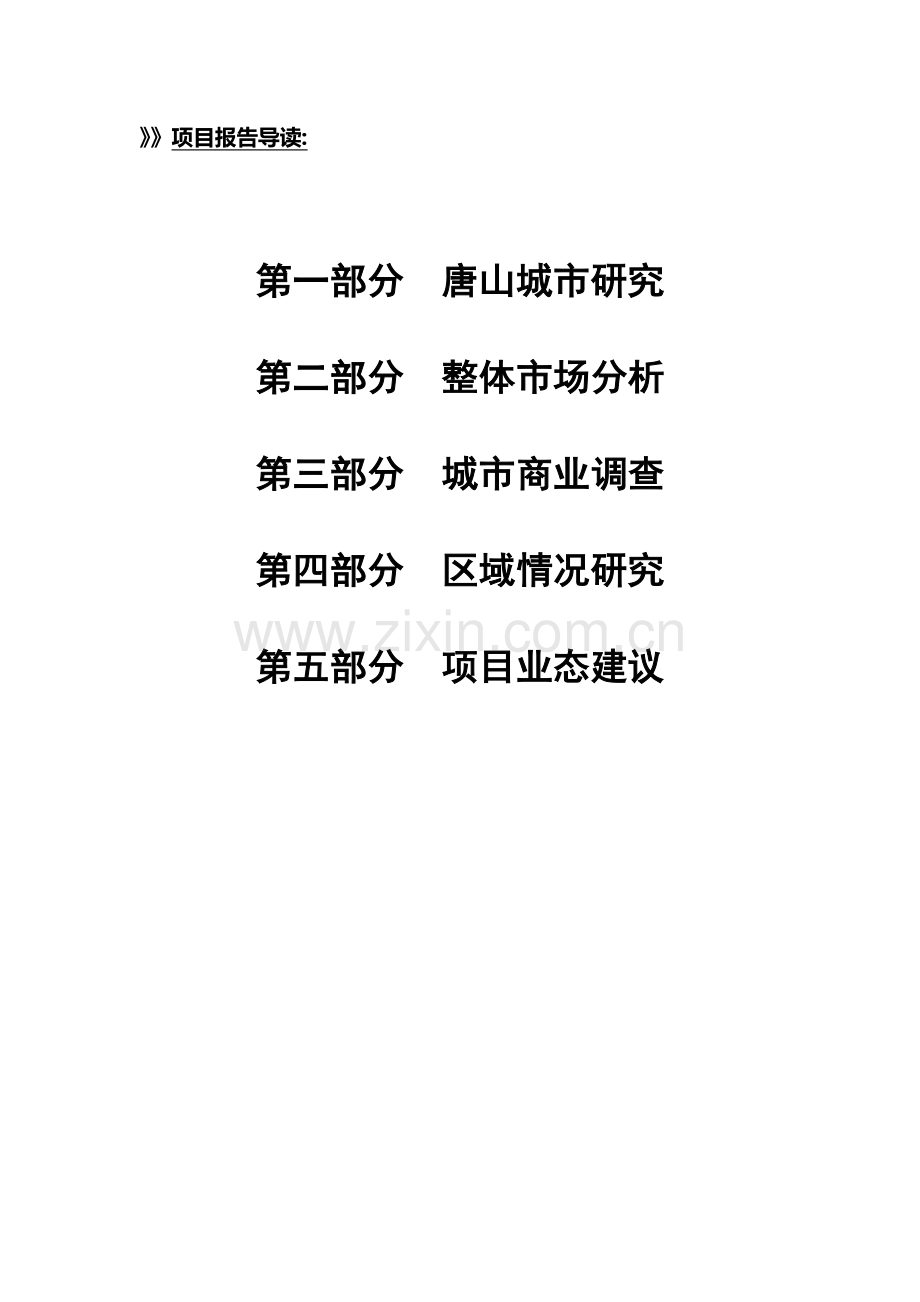 X年河北唐山丰南区项目市场情况调研_定位报告.docx_第2页