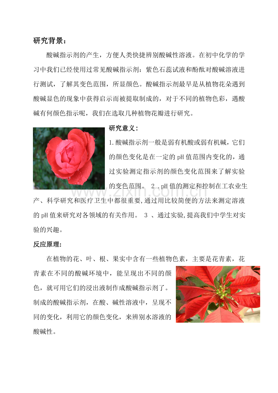 植物酸碱指示剂.doc_第2页