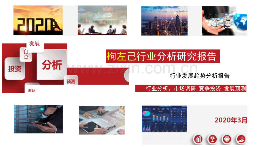 枸杞行业调查研究报告.docx_第1页