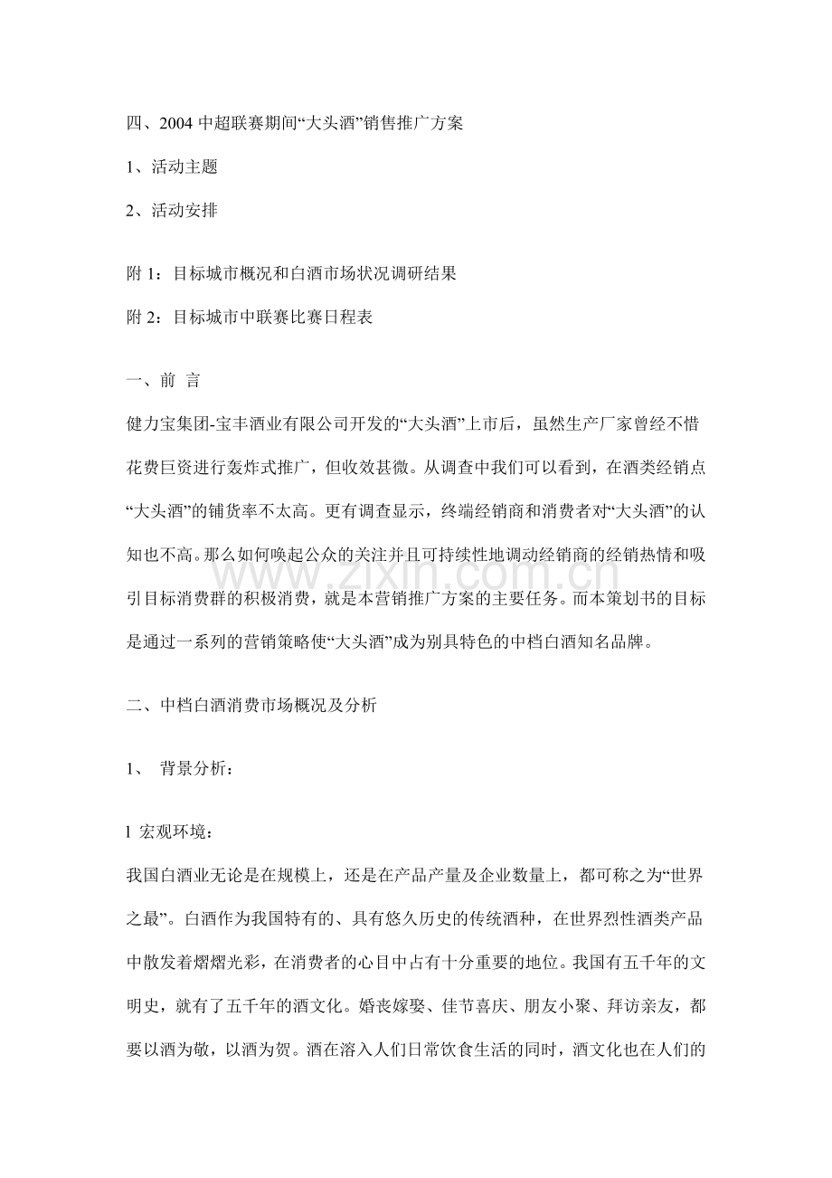 大头酒品牌营销推广策划方案19.docx_第2页