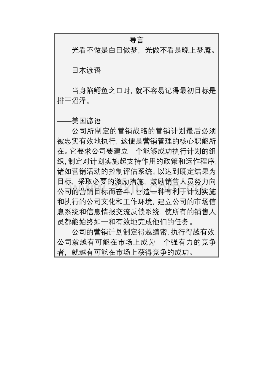 如何有效执行营销计划.docx_第2页