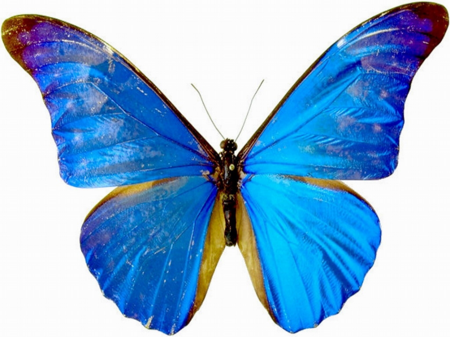 正数与负数一.ppt_第2页