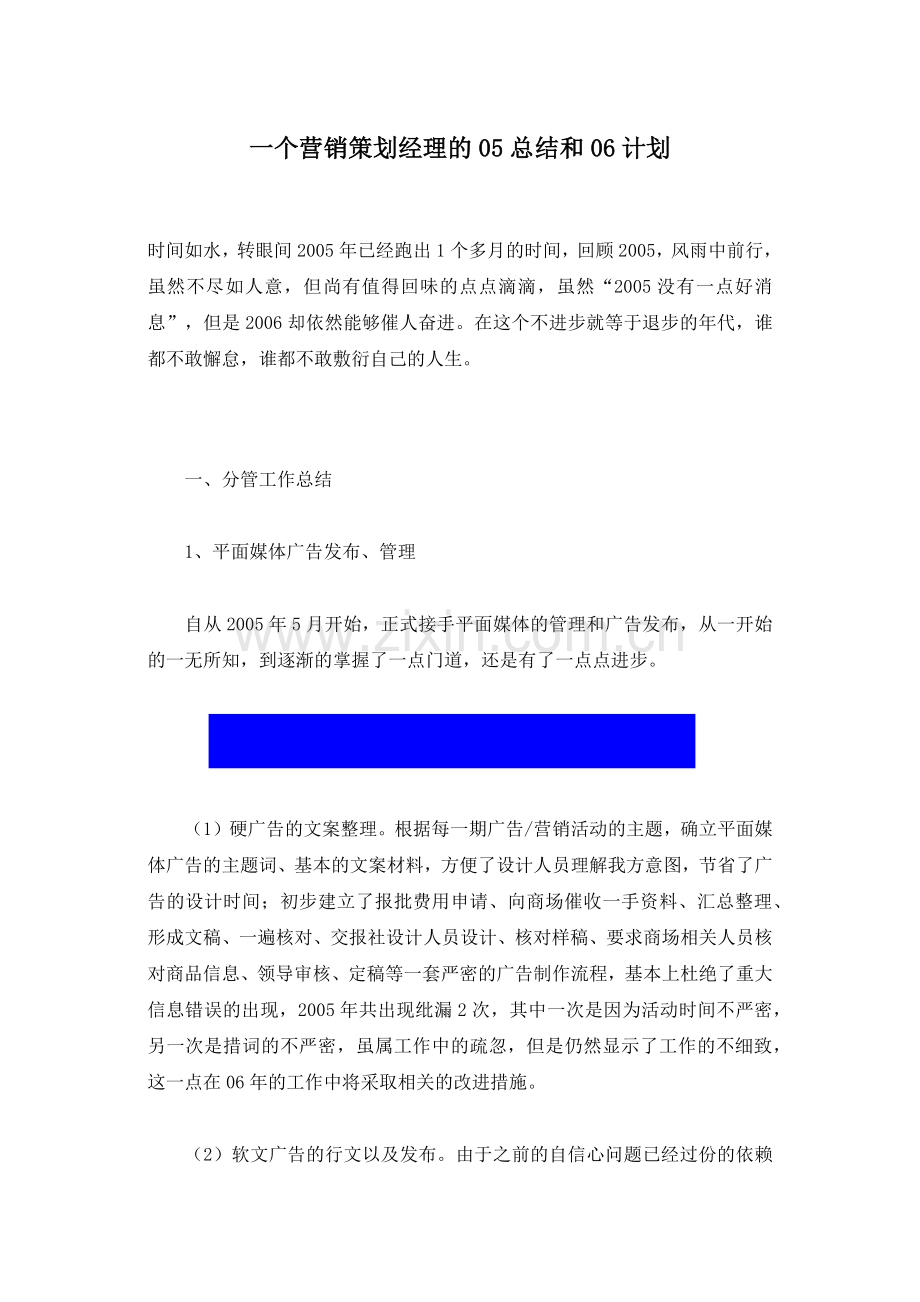 营销策划经理的总结及计划.docx_第1页