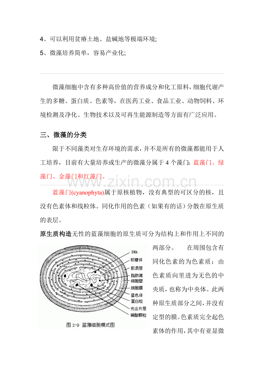 微藻特点与分类.doc_第2页