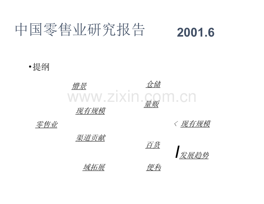 中国零售业研究报告.docx_第2页