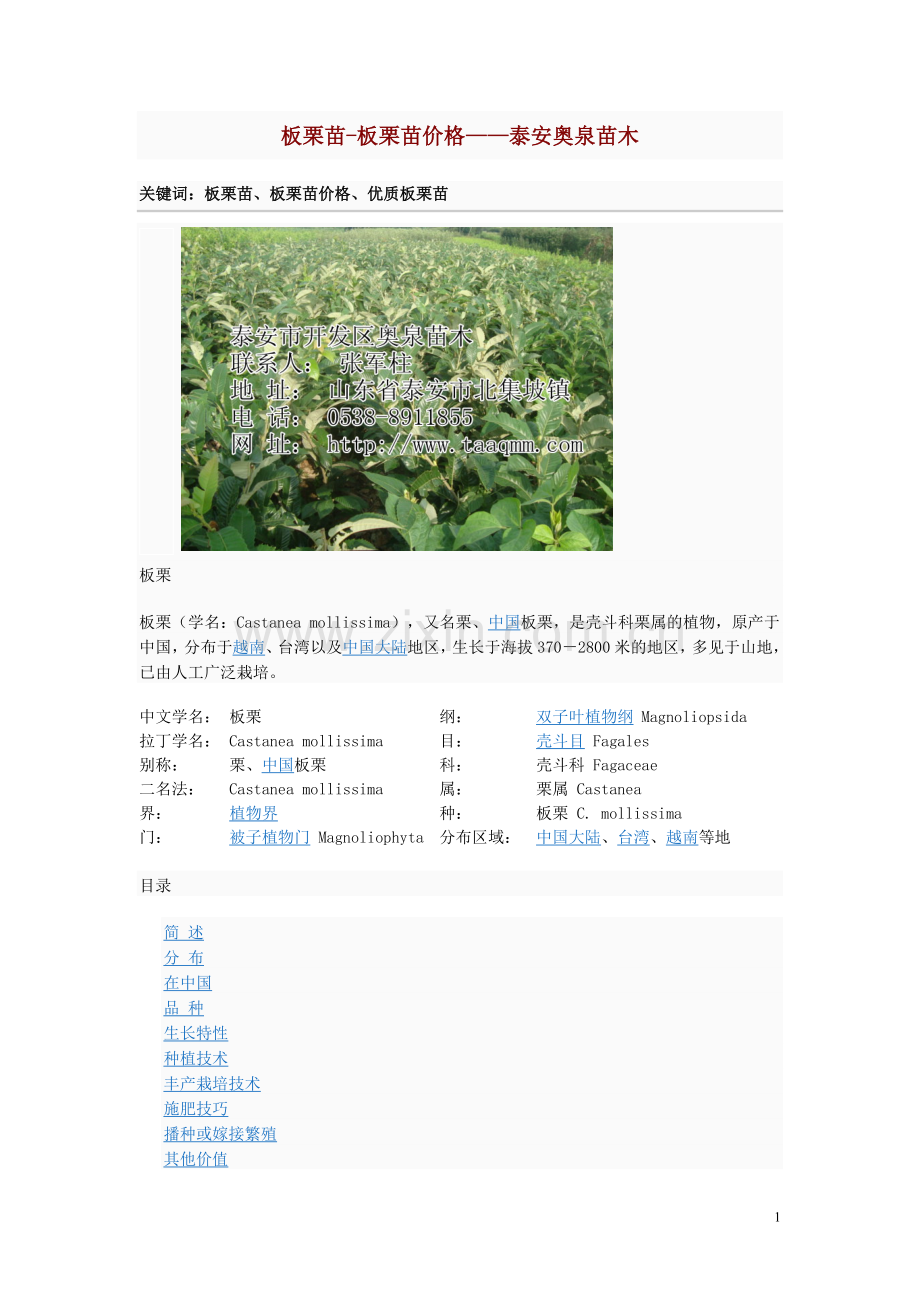 板栗苗-板栗苗价格——奥泉苗木.doc_第1页