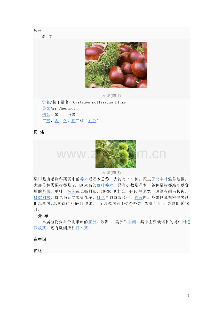 板栗苗-板栗苗价格——奥泉苗木.doc_第2页