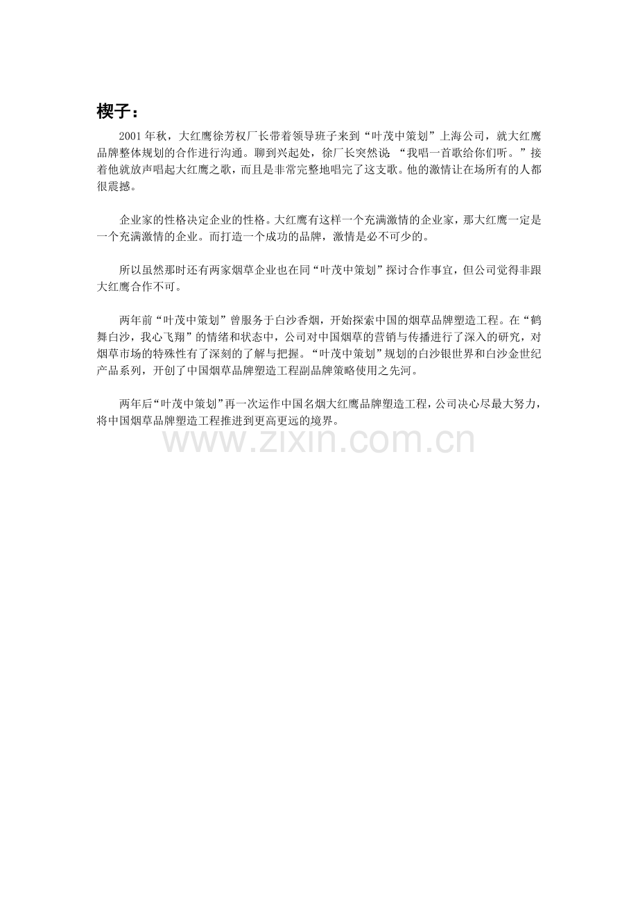 大红鹰品牌营销策划1.docx_第2页