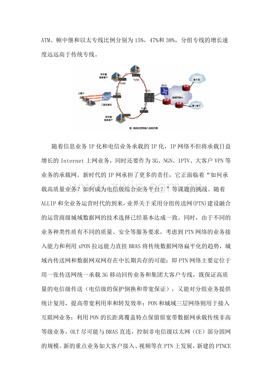 分组传送网的大客户应用.docx_第2页
