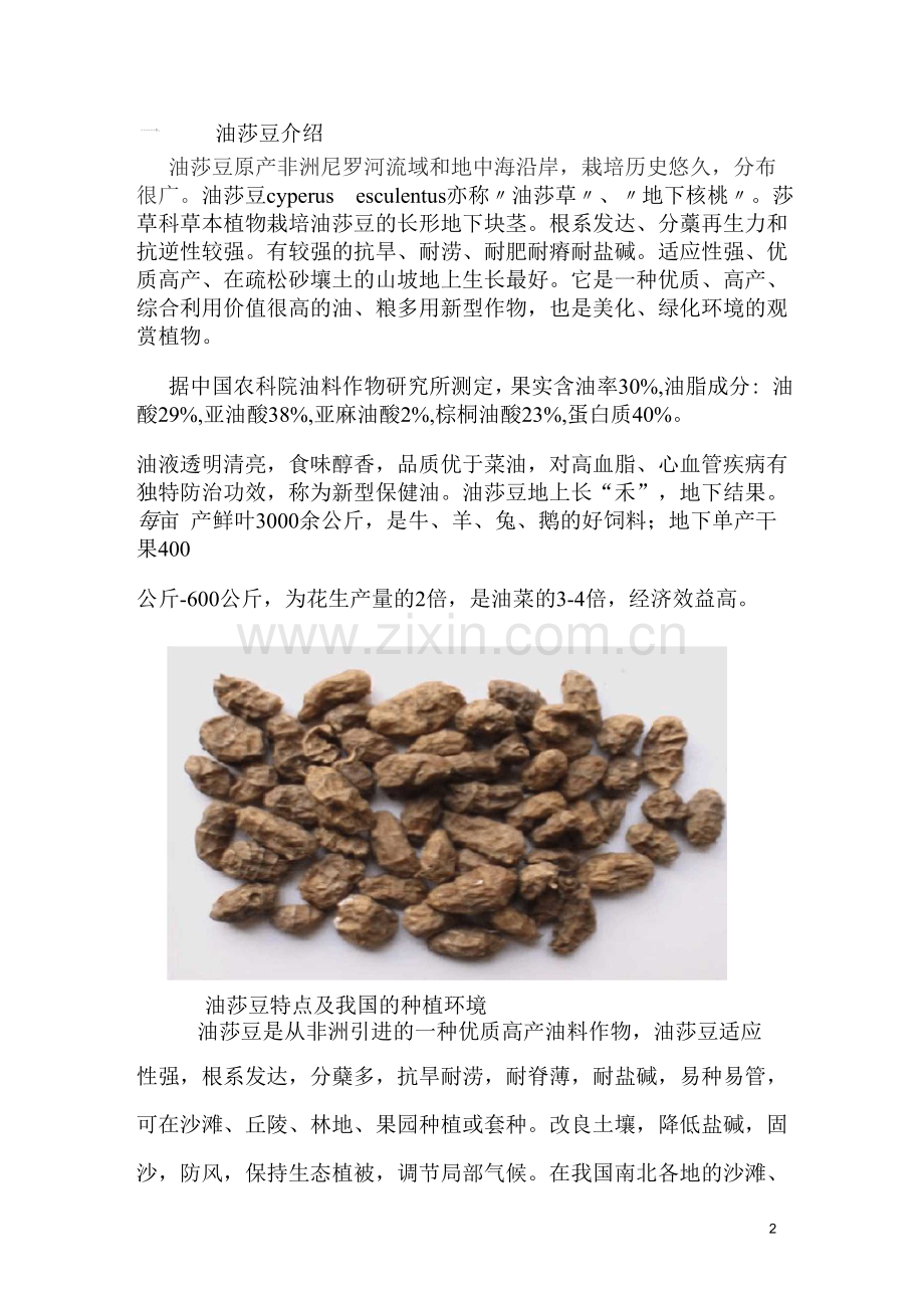 油莎豆产业可行性研究报告.docx_第2页