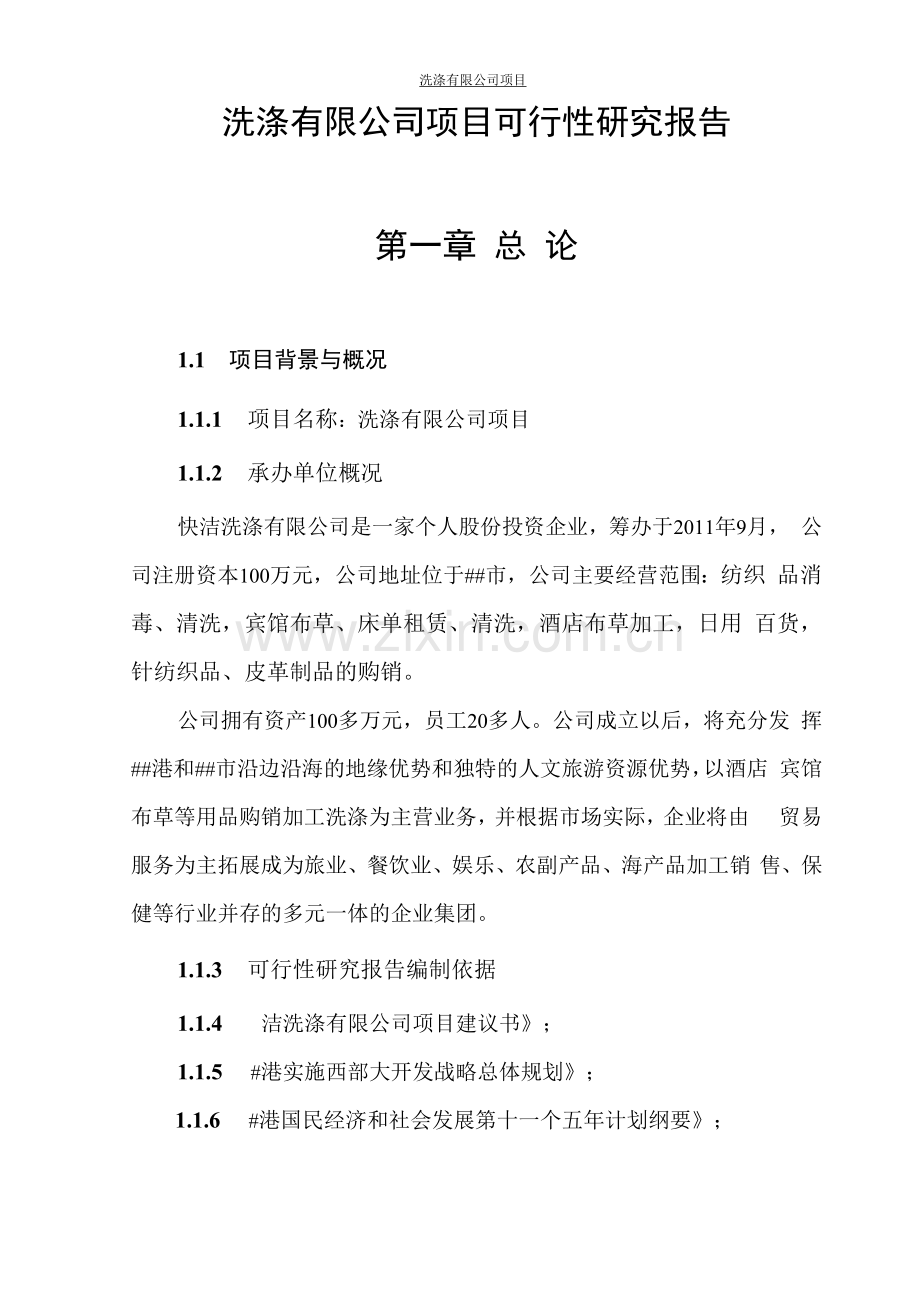 洗涤有限公司项目可行性研究报告.docx_第1页