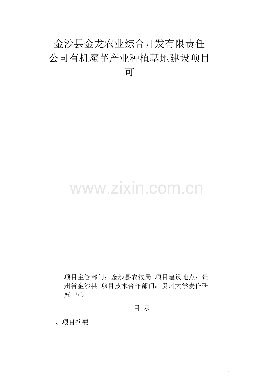 魔芋可行性研究报告.docx_第1页