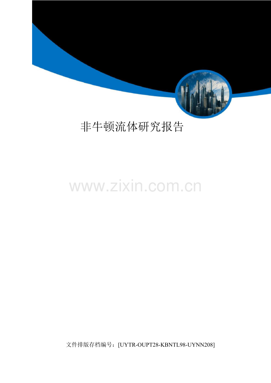 非牛顿流体研究报告.docx_第1页