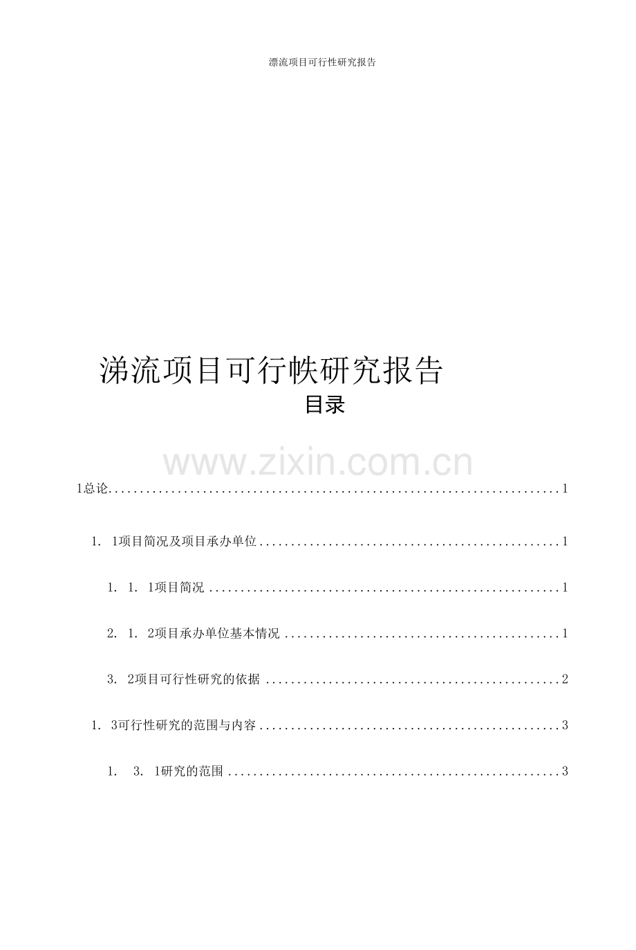 漂流项目可行性研究报告.docx_第1页