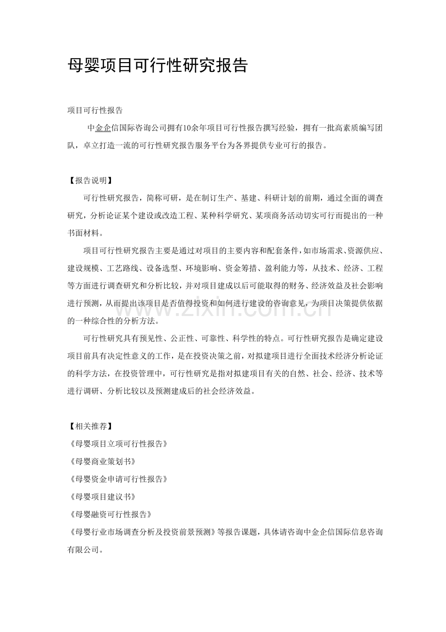 母婴项目可行性研究报告.docx_第1页