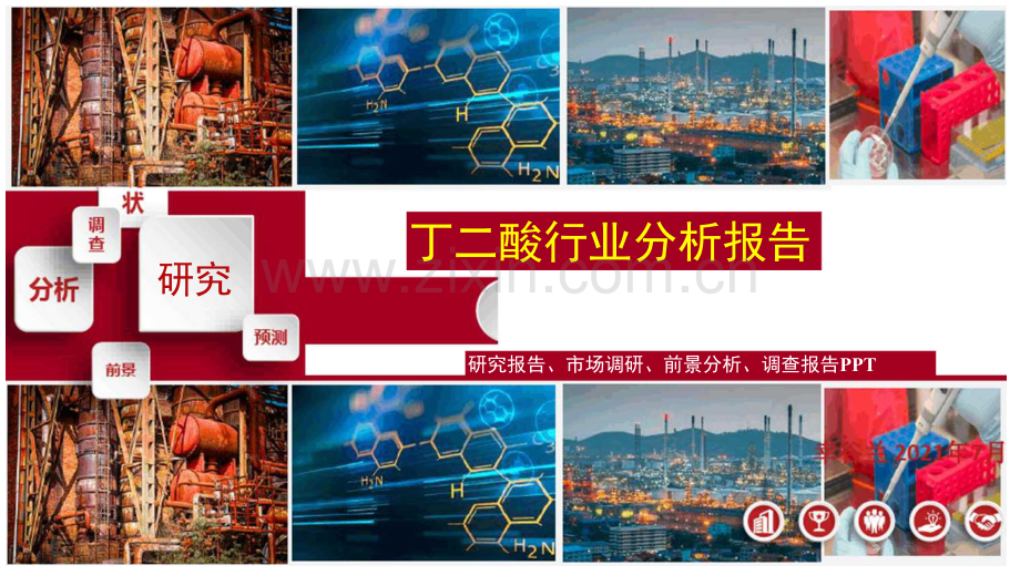 丁二酸行业研究报告.docx_第1页